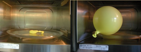 Foto: Verdampfung von Wasser in einem Luftballon in der Mikrowelle